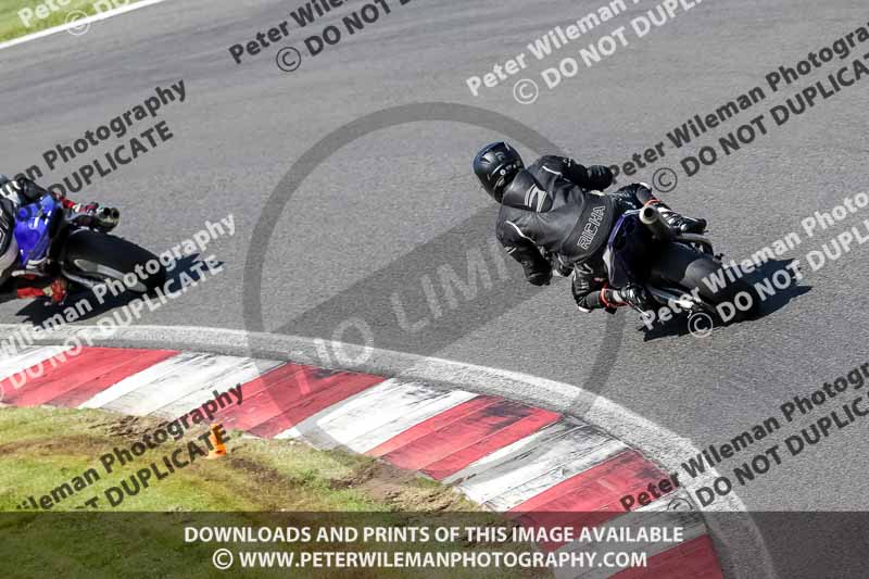 cadwell no limits trackday;cadwell park;cadwell park photographs;cadwell trackday photographs;enduro digital images;event digital images;eventdigitalimages;no limits trackdays;peter wileman photography;racing digital images;trackday digital images;trackday photos